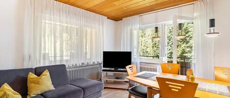 Fernseher, Tischtennisplatte