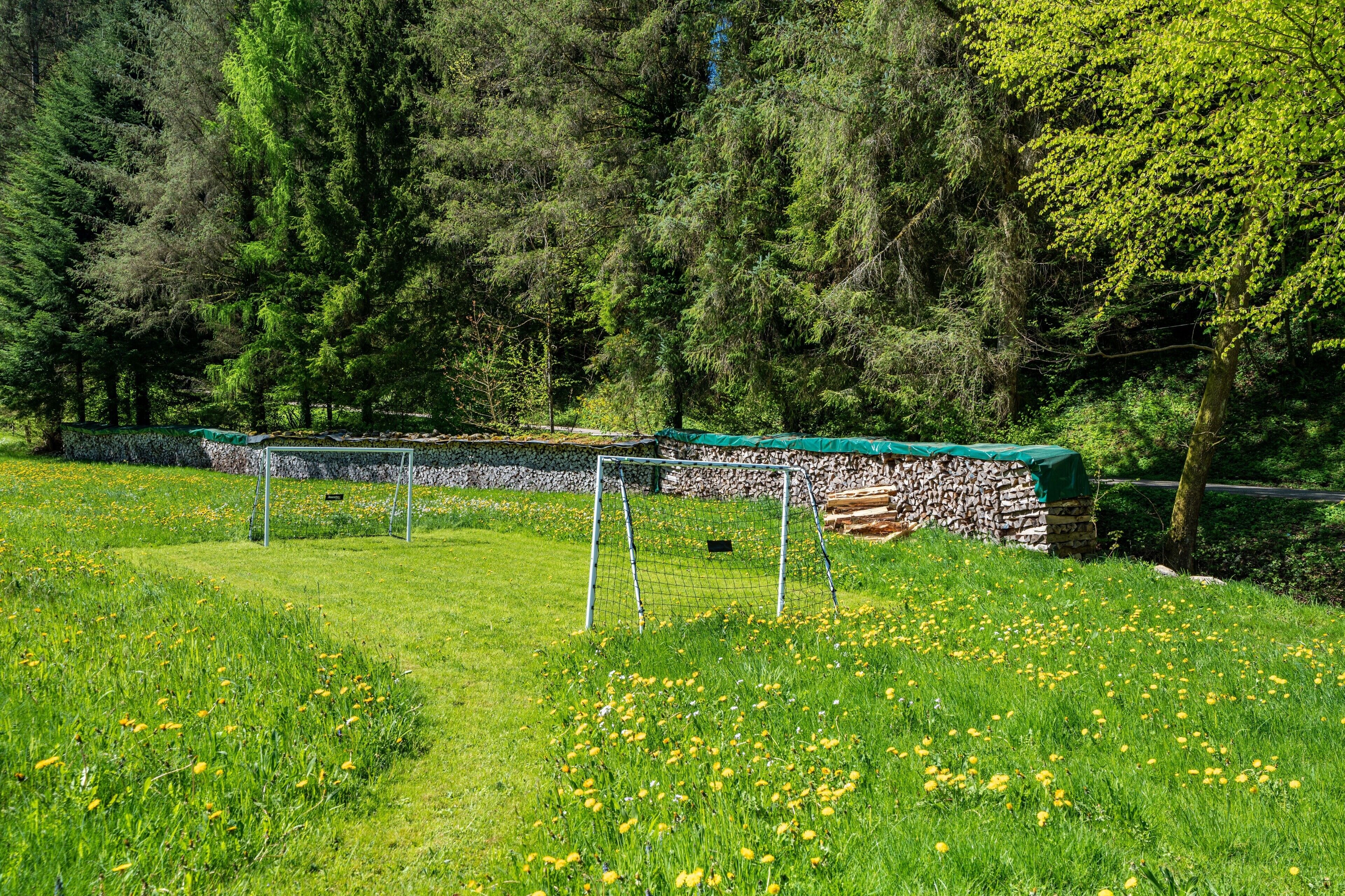 A grassy field with a soccer goal, surrounded by trees and a stone wall.