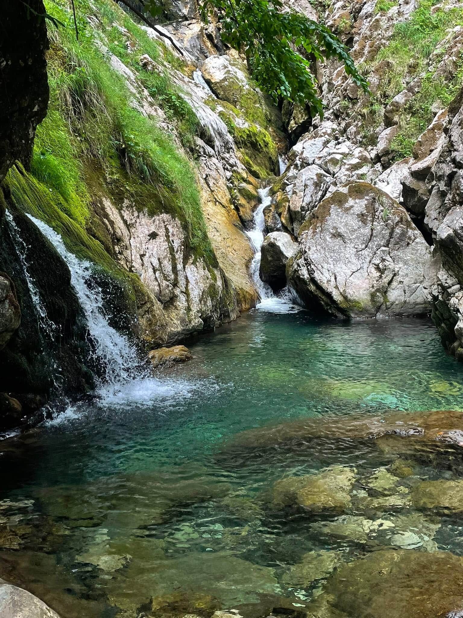 A natural water feature with a clear pool and a small waterfall.
