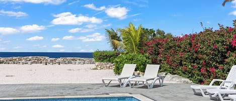 Apartment, Balcony, Park View | Pool