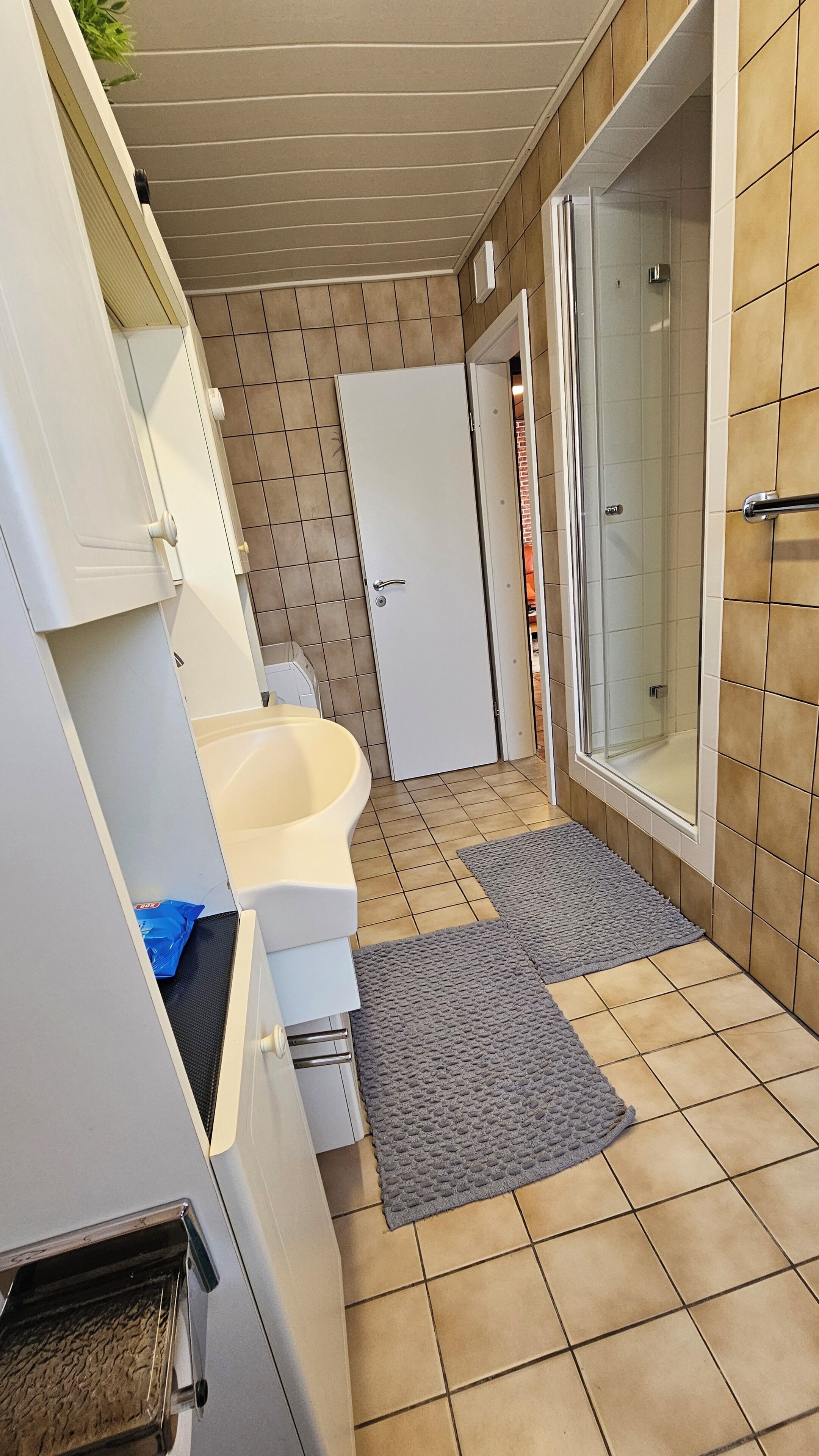 Dusche, Haartrockner, Handtücher, Toilettenpapier