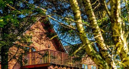 The Braveheart, Dundee