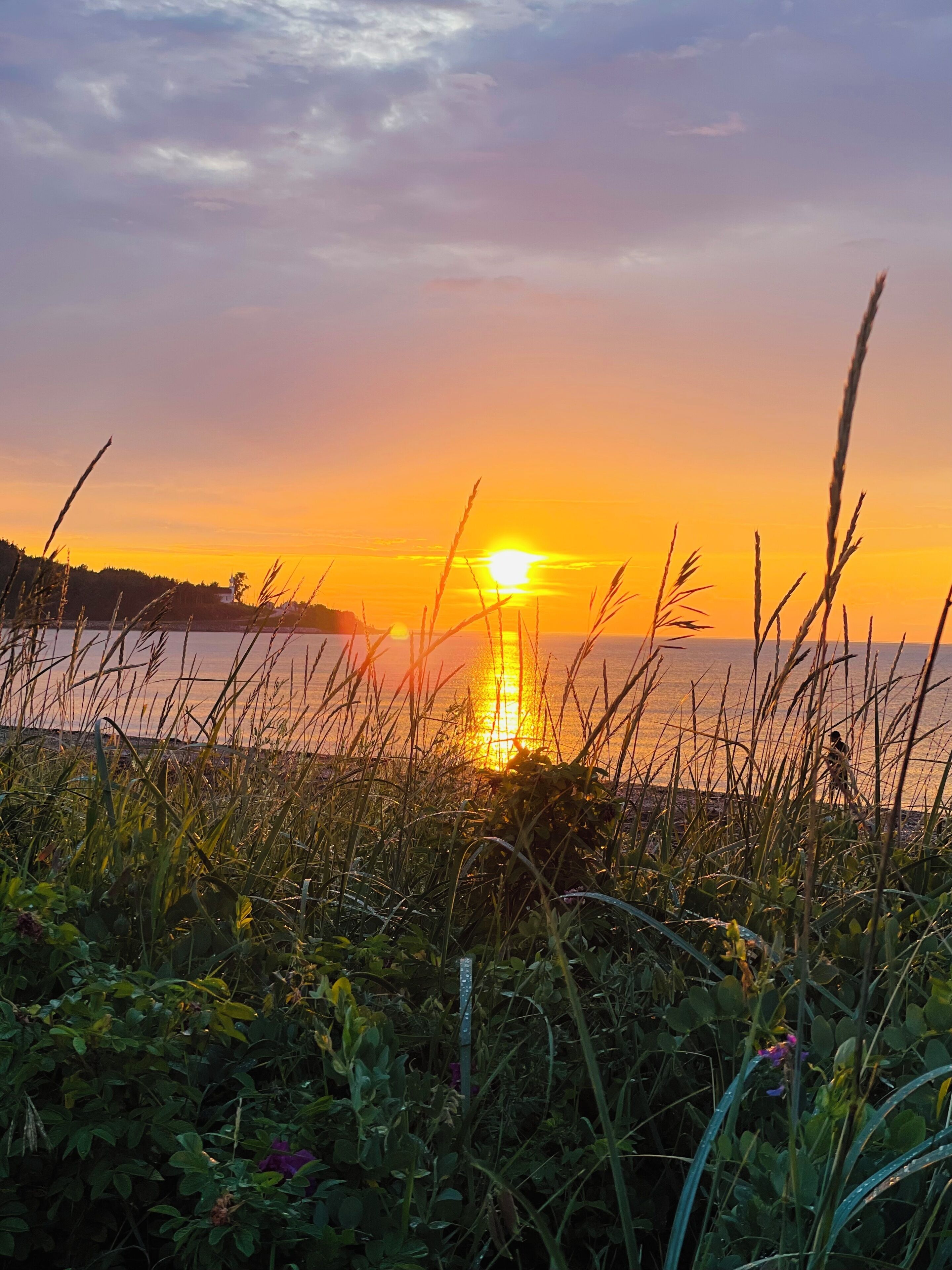 A sunset over a body of water with grass in the foreground.