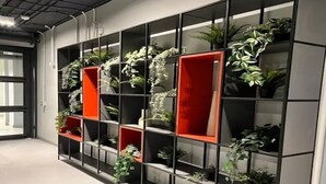 A modern interior with a black and red shelving unit filled with various plants. - Family-Friendly Apartment • Walk to Parks & Shops • Safe and comfort for all. (Santiago)