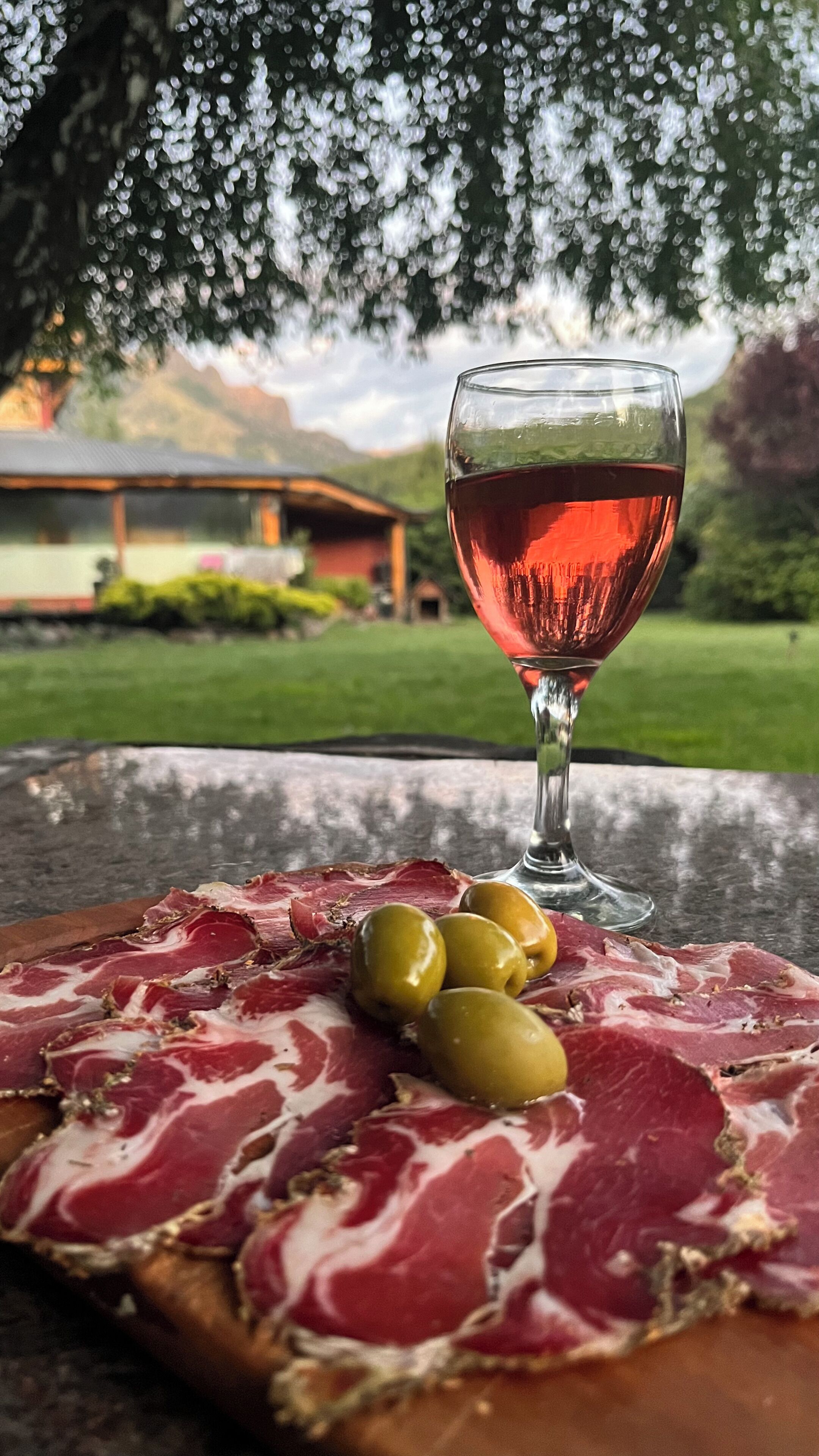 Alimentos y bebidas