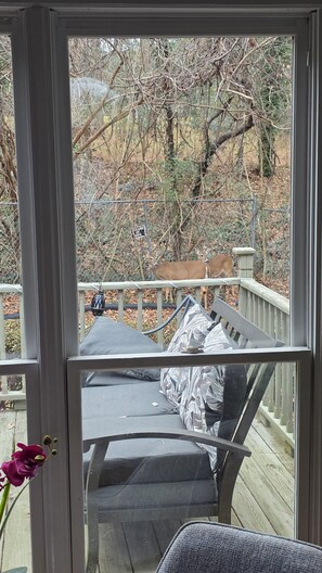 Interior - Private Luxury Retreat, 5 Beds, Spa Jacuzzi, Sleeps Large Groups (Atlanta)