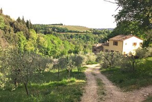Property grounds - Tuscan Farmhouse with pool in the Chianti (Montefiridolfi)