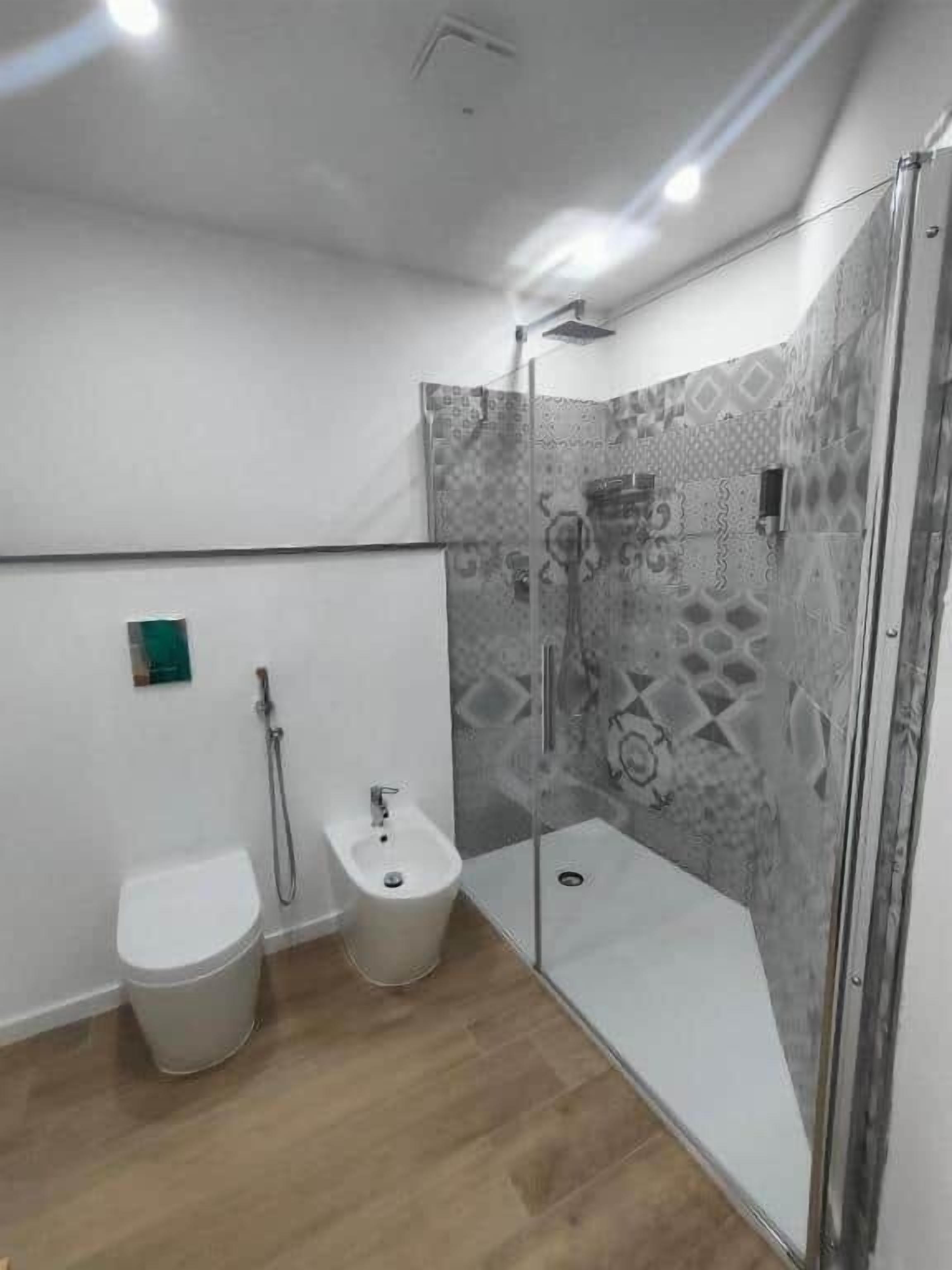 Shower, hair dryer, bidet, towels