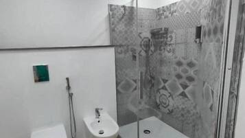 Shower, hair dryer, bidet, towels