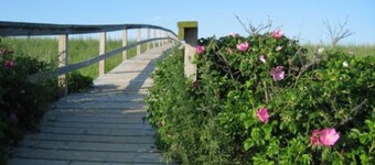 Walk to Beach & Boardwalk! Cozy Cape w/ Fire Pit & Fenced Yard