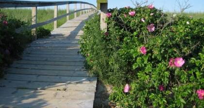 Walk to Beach & Boardwalk! Cozy Cape w/ Fire Pit & Fenced Yard