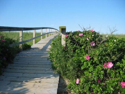 Walk to Beach & Boardwalk! Cozy Cape w/ Fire Pit & Fenced Yard