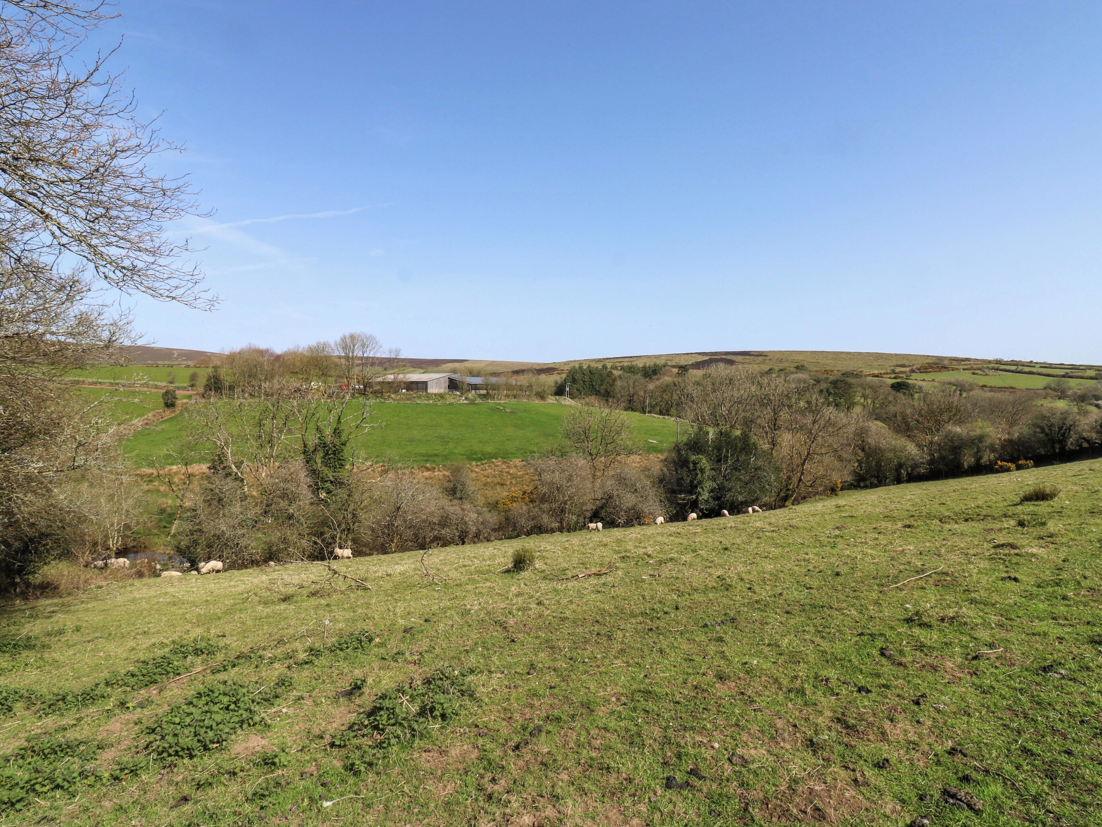 Paesaggio rurale con dolci colline, un fienile e pecore al pascolo.