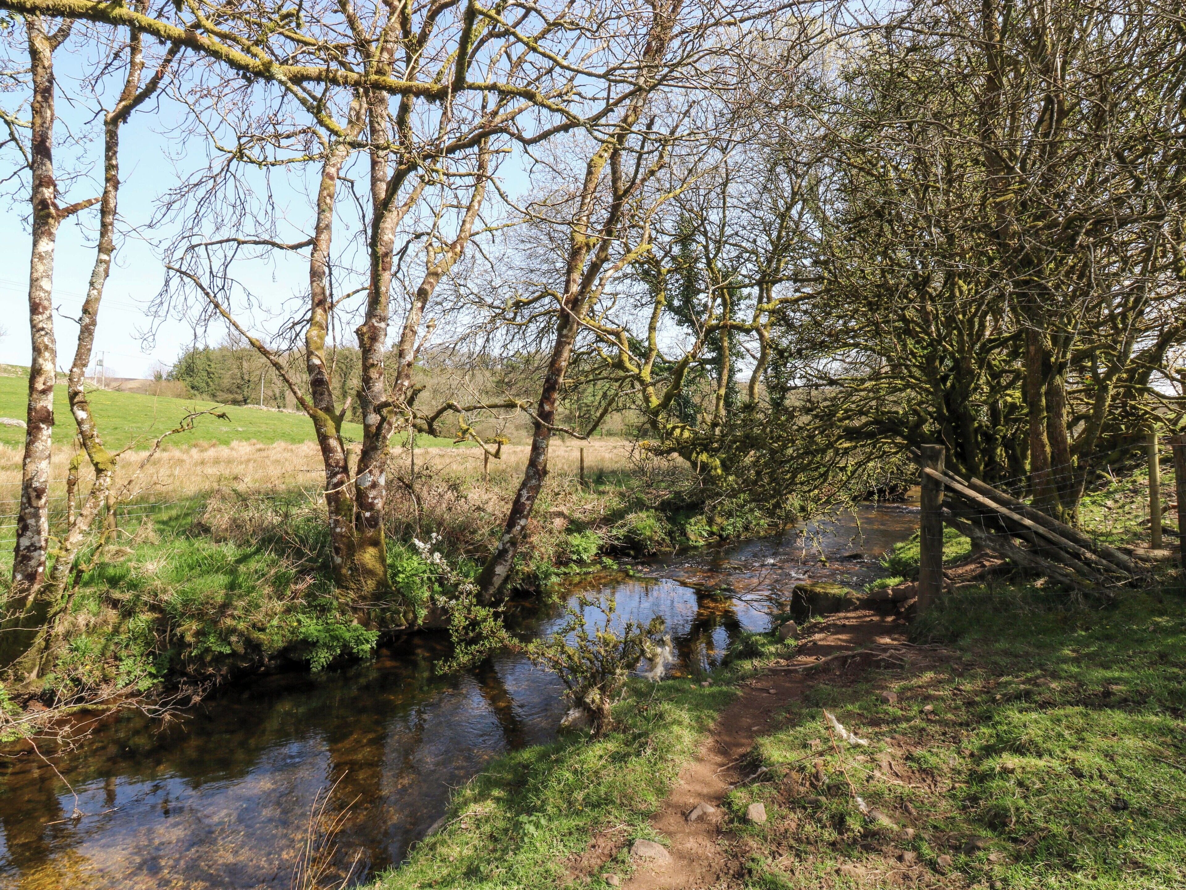 Paesaggio rurale con un ruscello, alberi e un campo recintato.