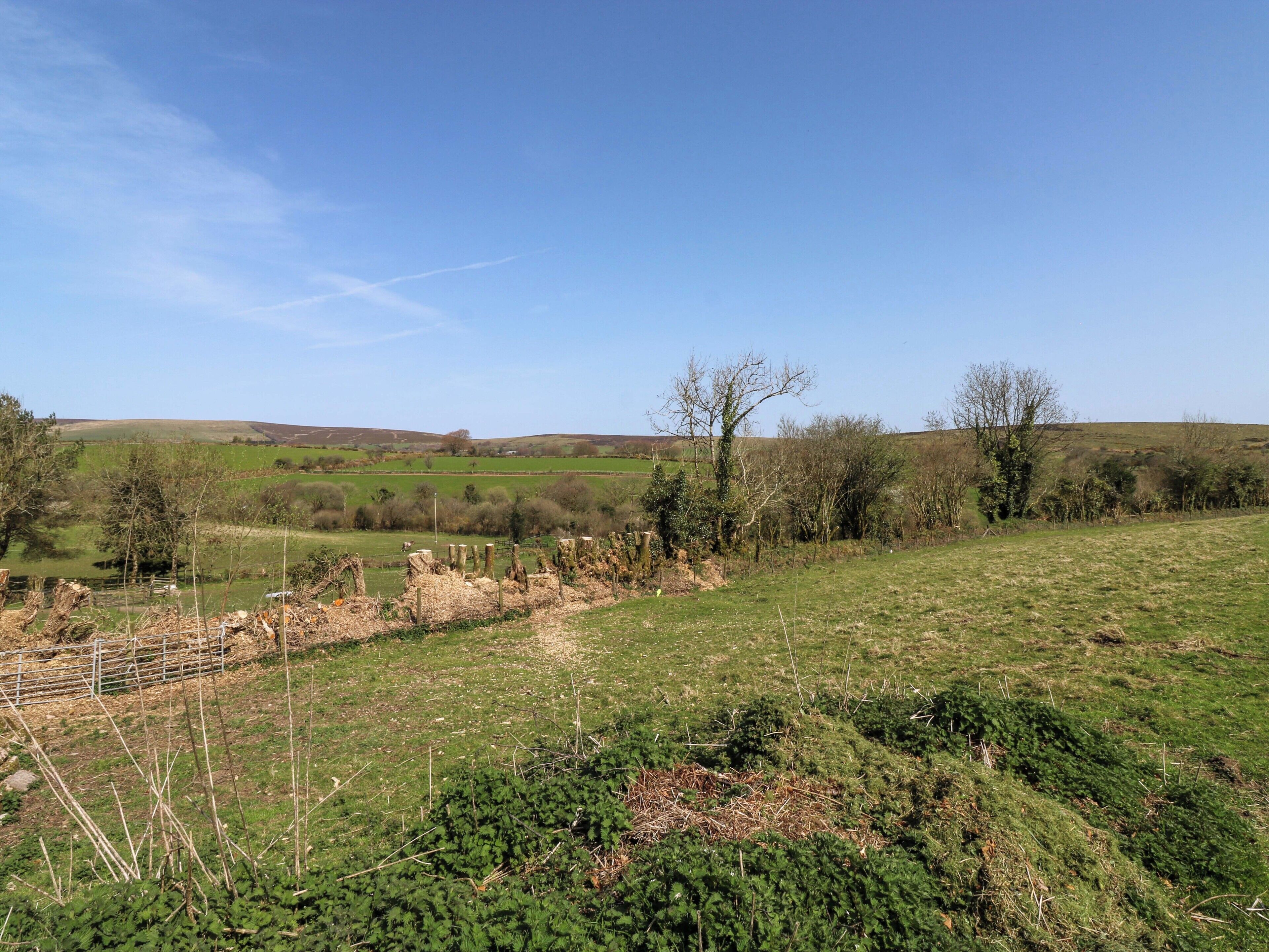 A rural landscape with a fence, trees, and open fields.