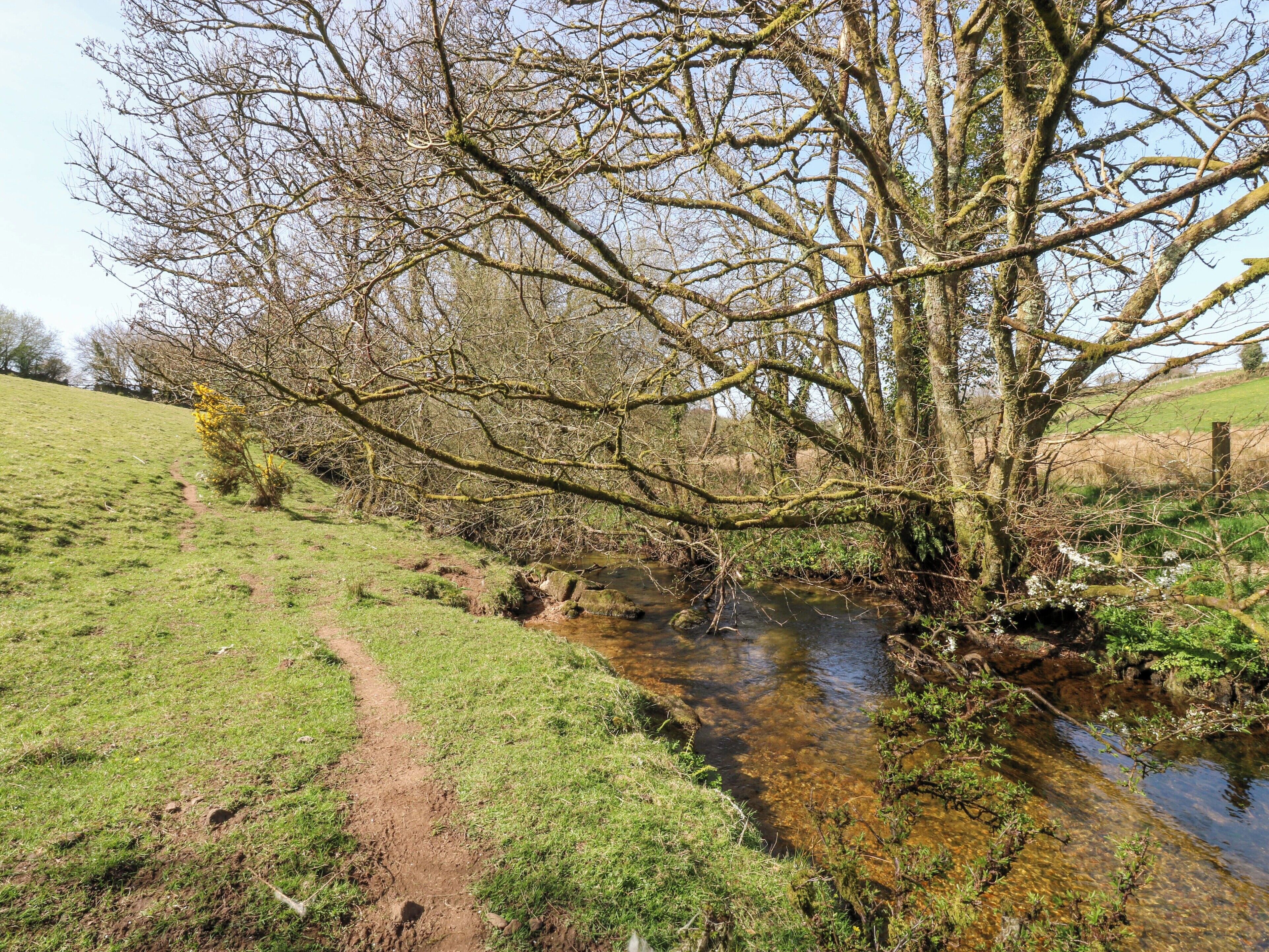 A rural landscape with a clear stream, a dirt path, and leafless trees.