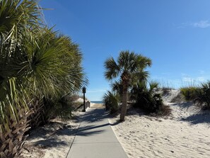 A pathway leading to a beach with palm trees and sand dunes. - Relaxing Oasis within Resort on Hilton Head Island (Hilton Head Island)