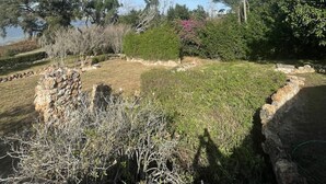 A garden with a stone wall, various shrubs, and trees under a clear blue sky.