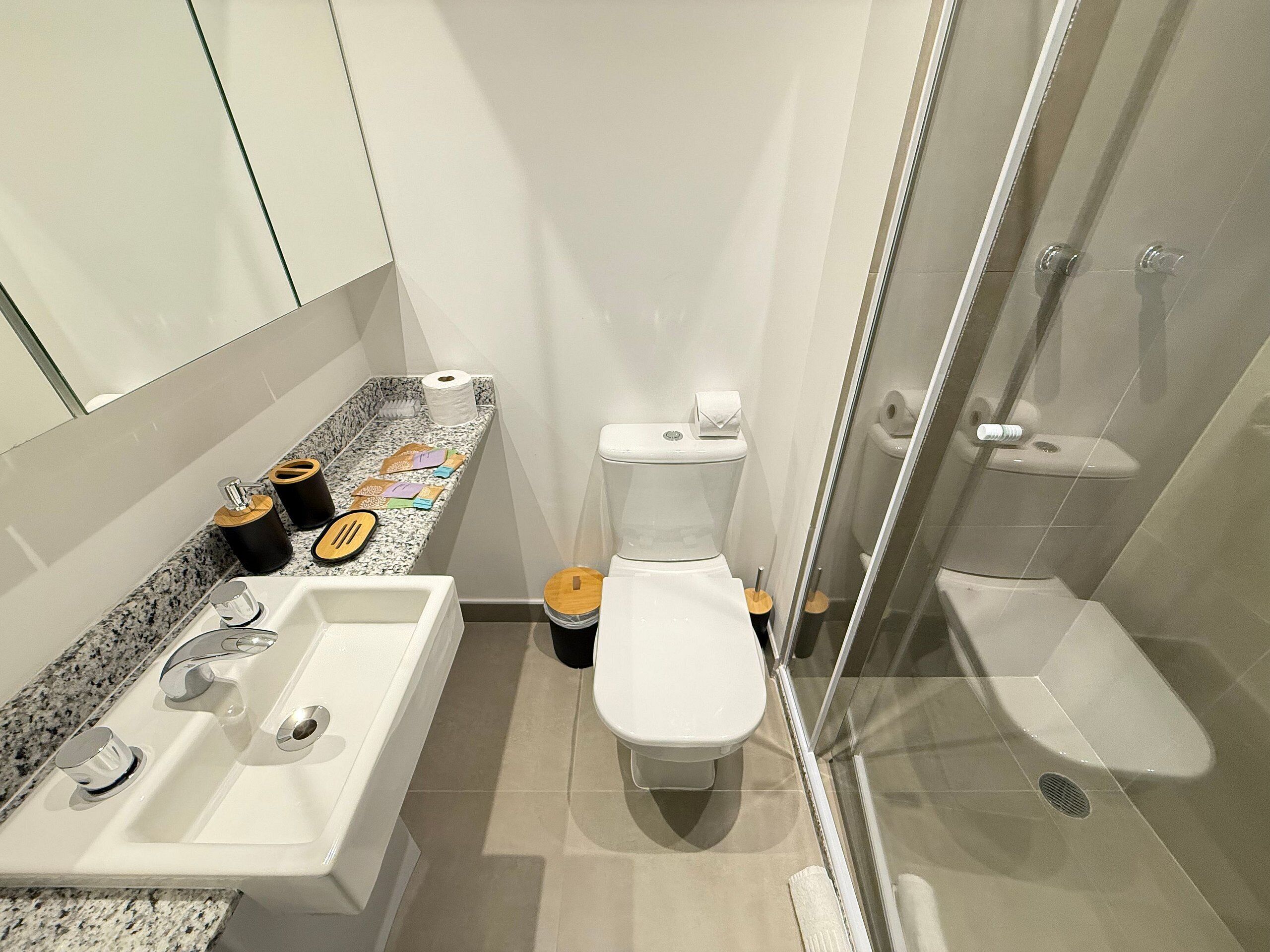 Premium Apartment | Bathroom | Shower, free toiletries, hair dryer, towels