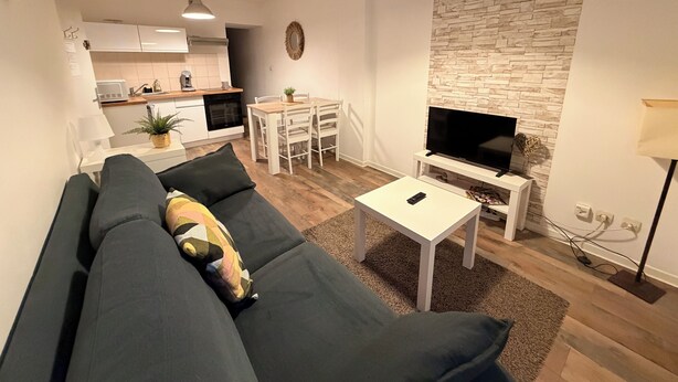 A modern living room with a sofa, a coffee table, a TV, and a stone wall. - Cosy F2 separate sleeping area on ground floor in quiet pedestrian alley close to all amenities (Orléans)