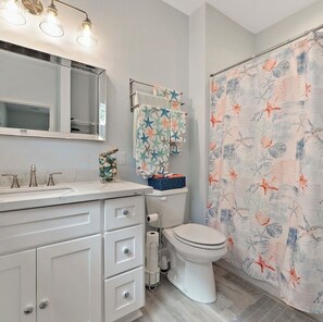 Sèche-cheveux, serviettes fournies, savon, papier toilette