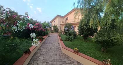 Tenuta Albachiara