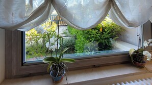 A window with sheer white curtains, a potted orchid, and a view of greenery outside. - Cozy independent dwelling immersed in the greenery and quiet of Tuscia (Lazio)