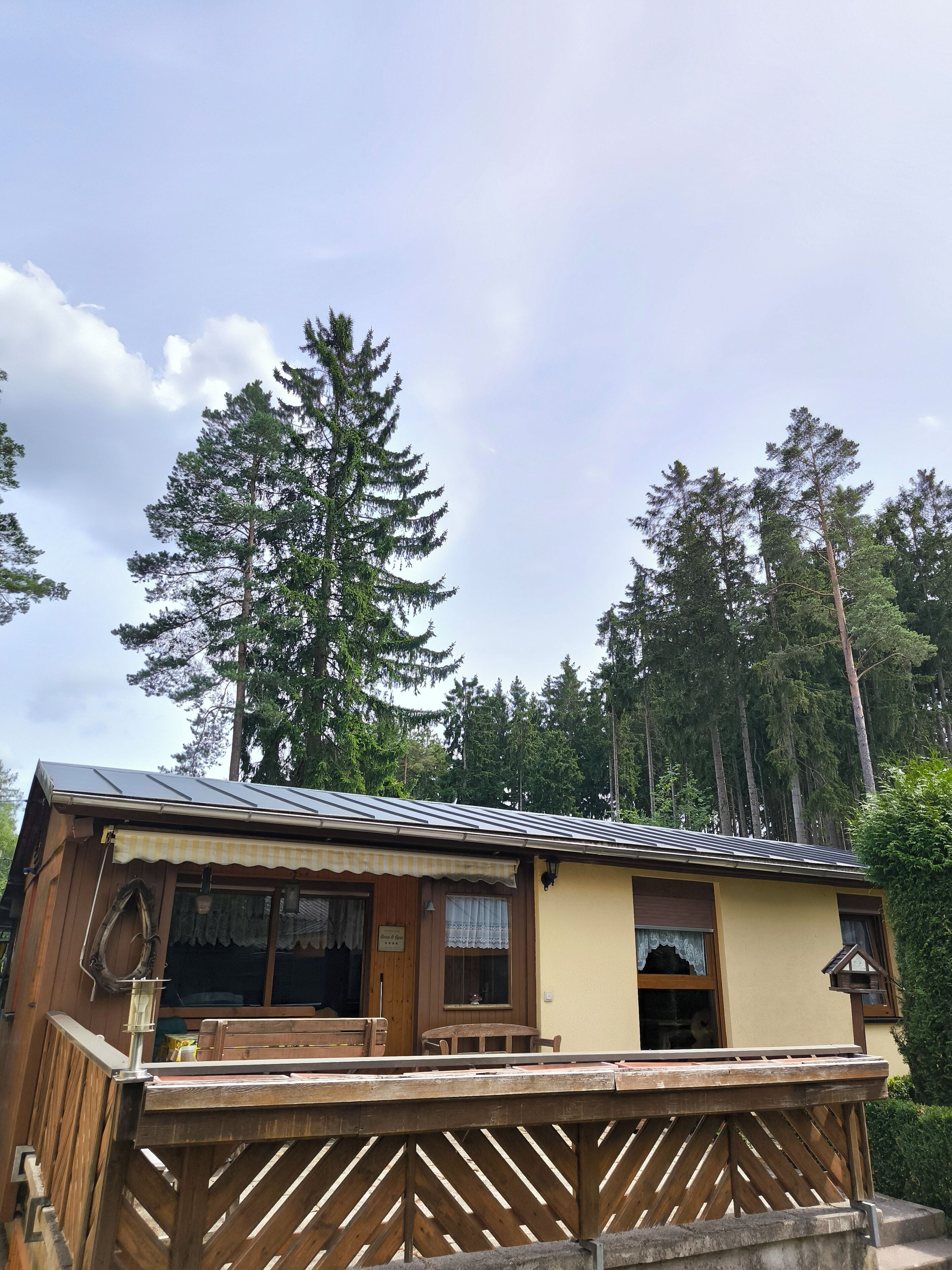 A wooden cabin with a metal roof, wooden deck, and a view of tall pine trees.