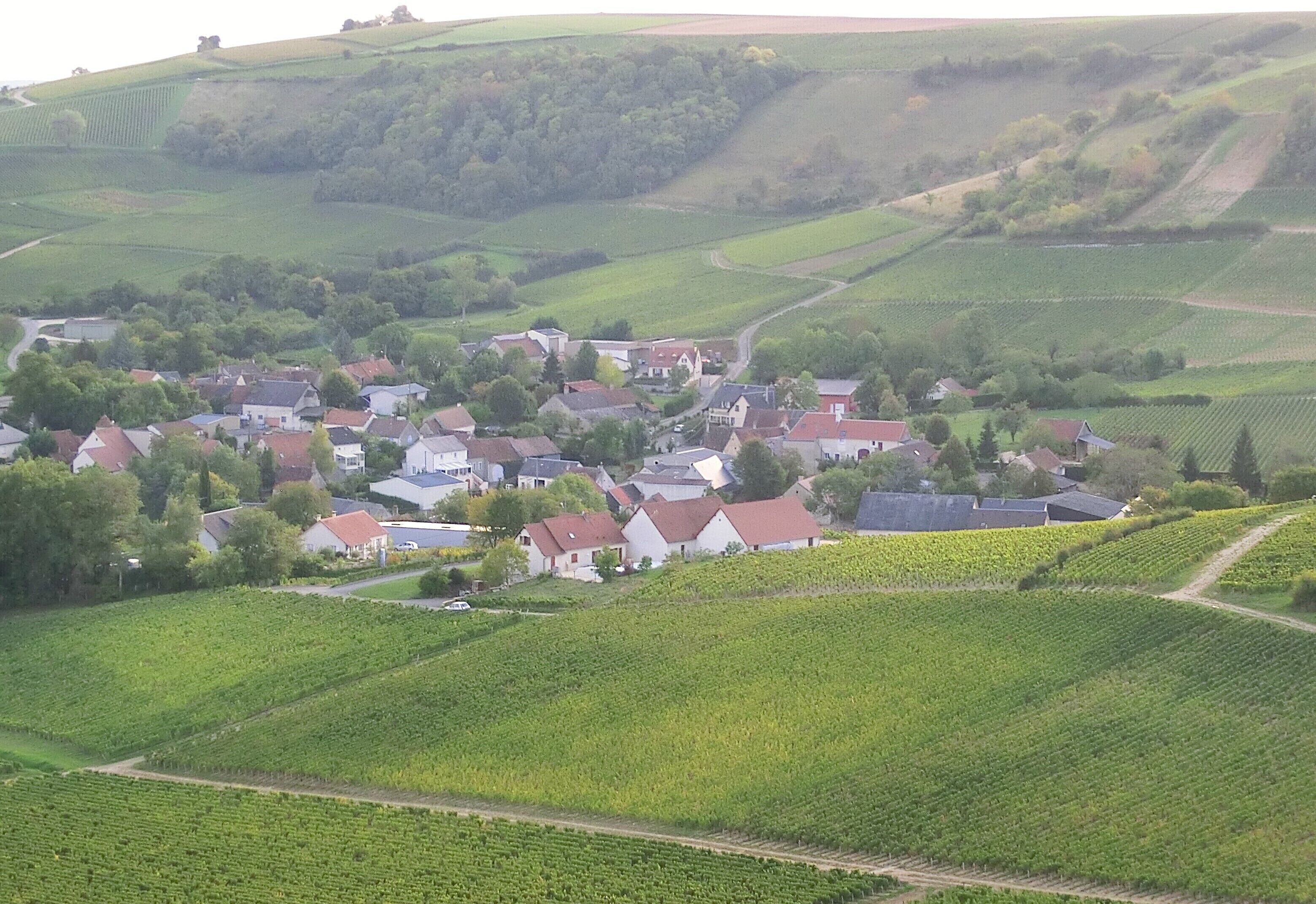 Un village rural avec des maisons et des vignobles.