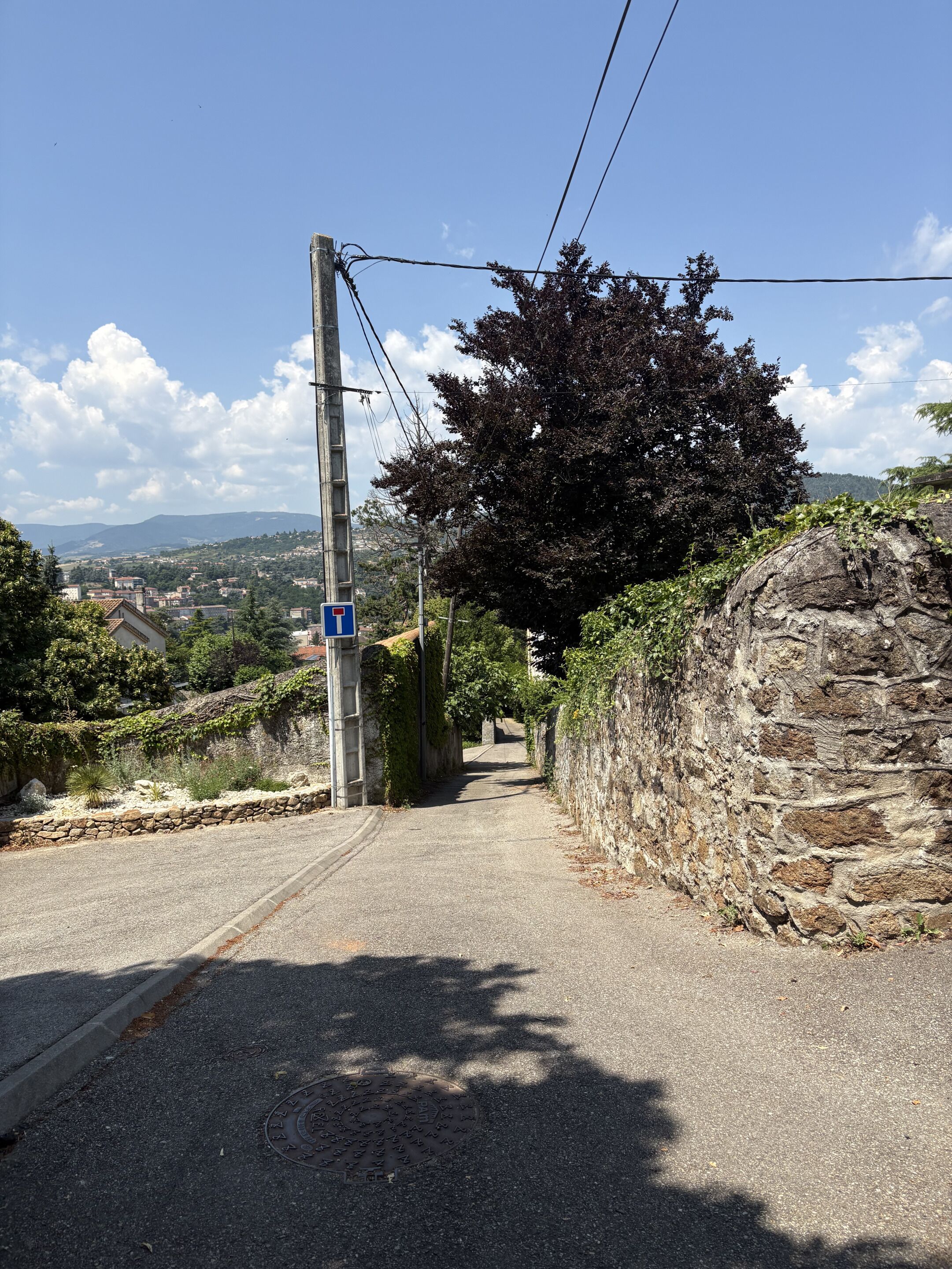 Une route de campagne avec un panneau de signalisation bleu en forme de T, des murs en pierre et un grand arbre.