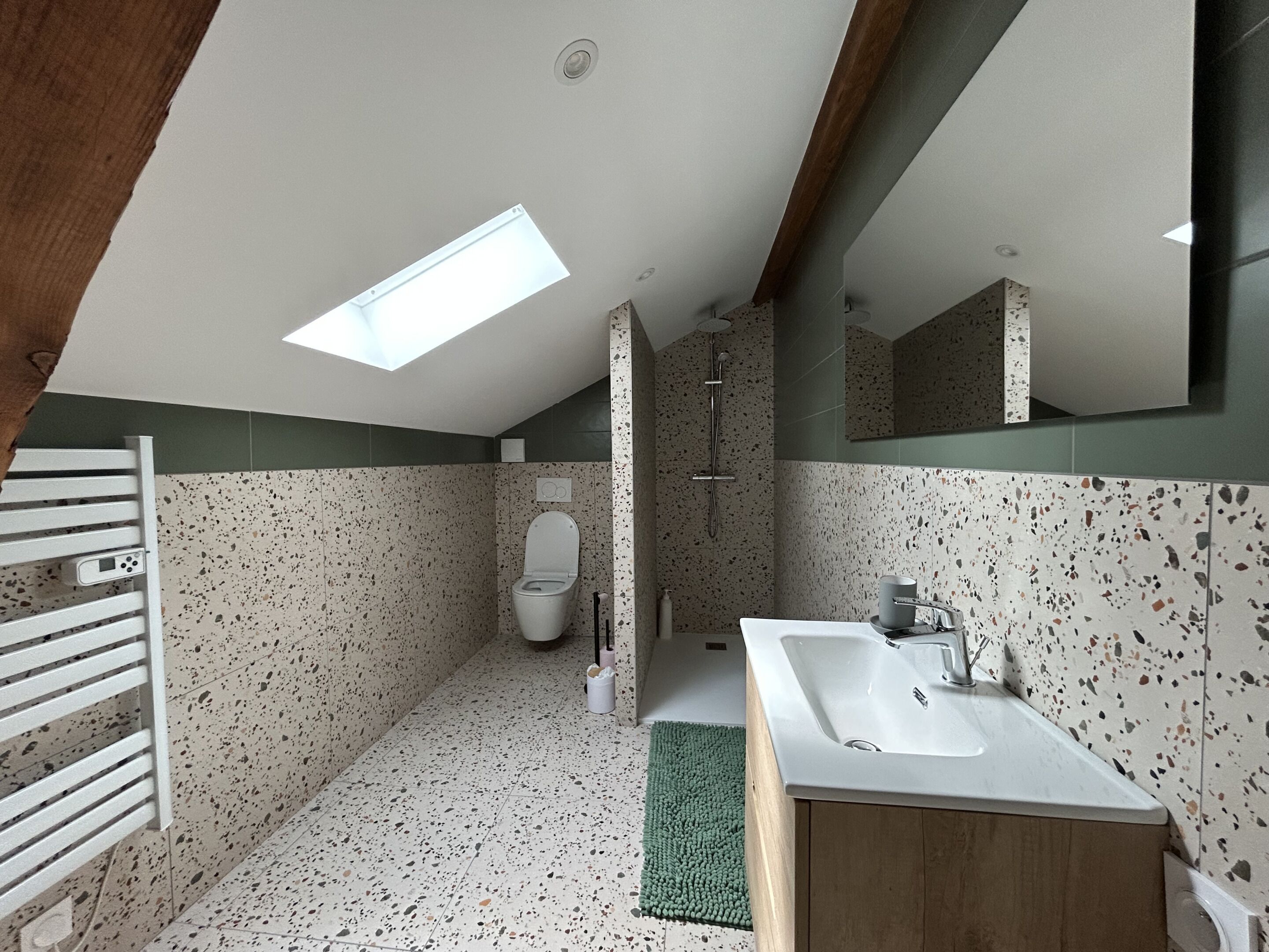 A modern bathroom with a skylight, a freestanding toilet, a shower, and a sink with a mirror.