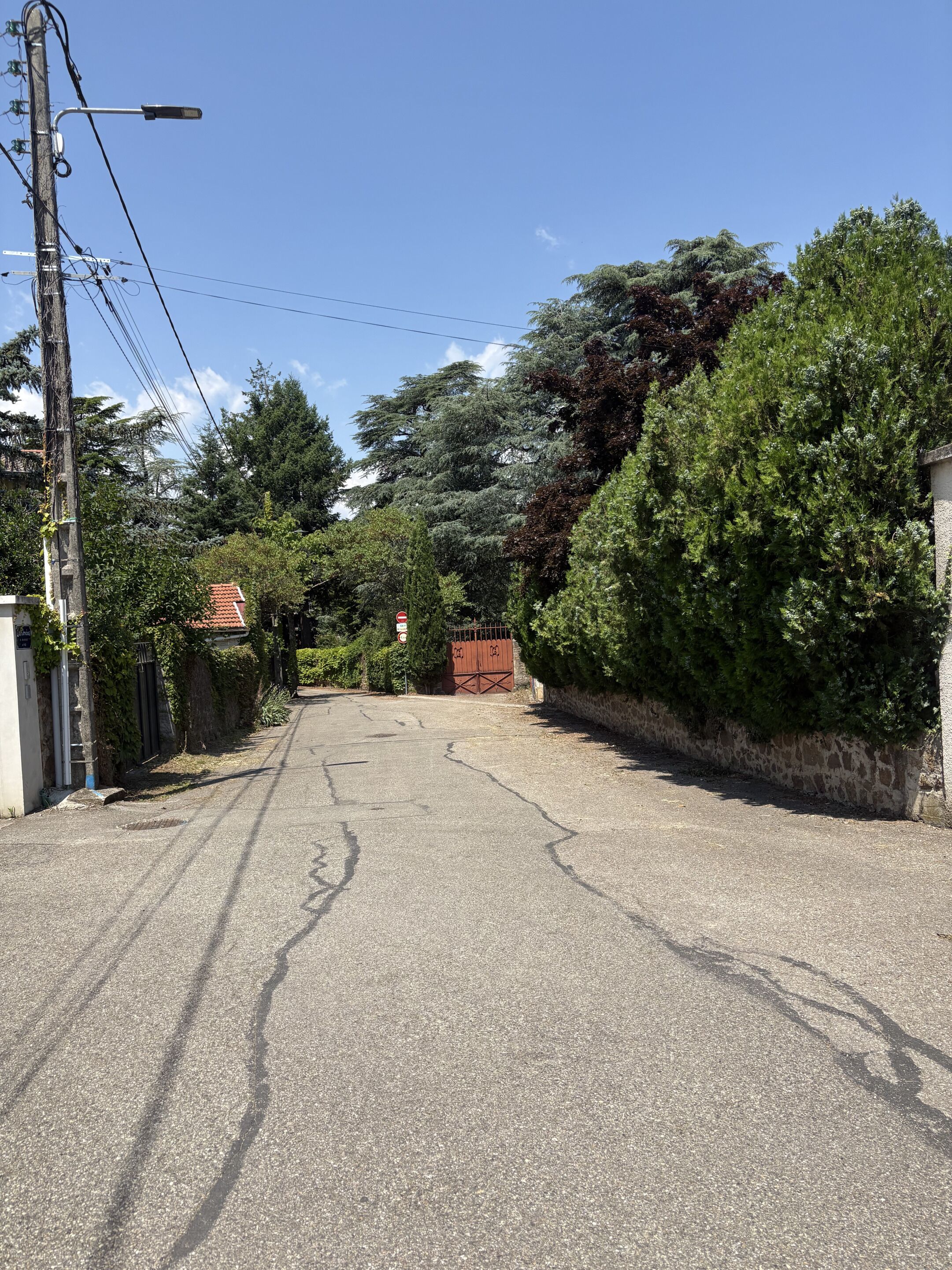 Eine ruhige, gepflasterte Straße mit einem roten Tor und üppigem Grün entlang beider Seiten.