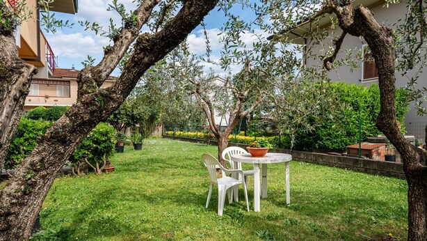 Een tuin met een tafel en stoelen, omgeven door bomen en een hek.