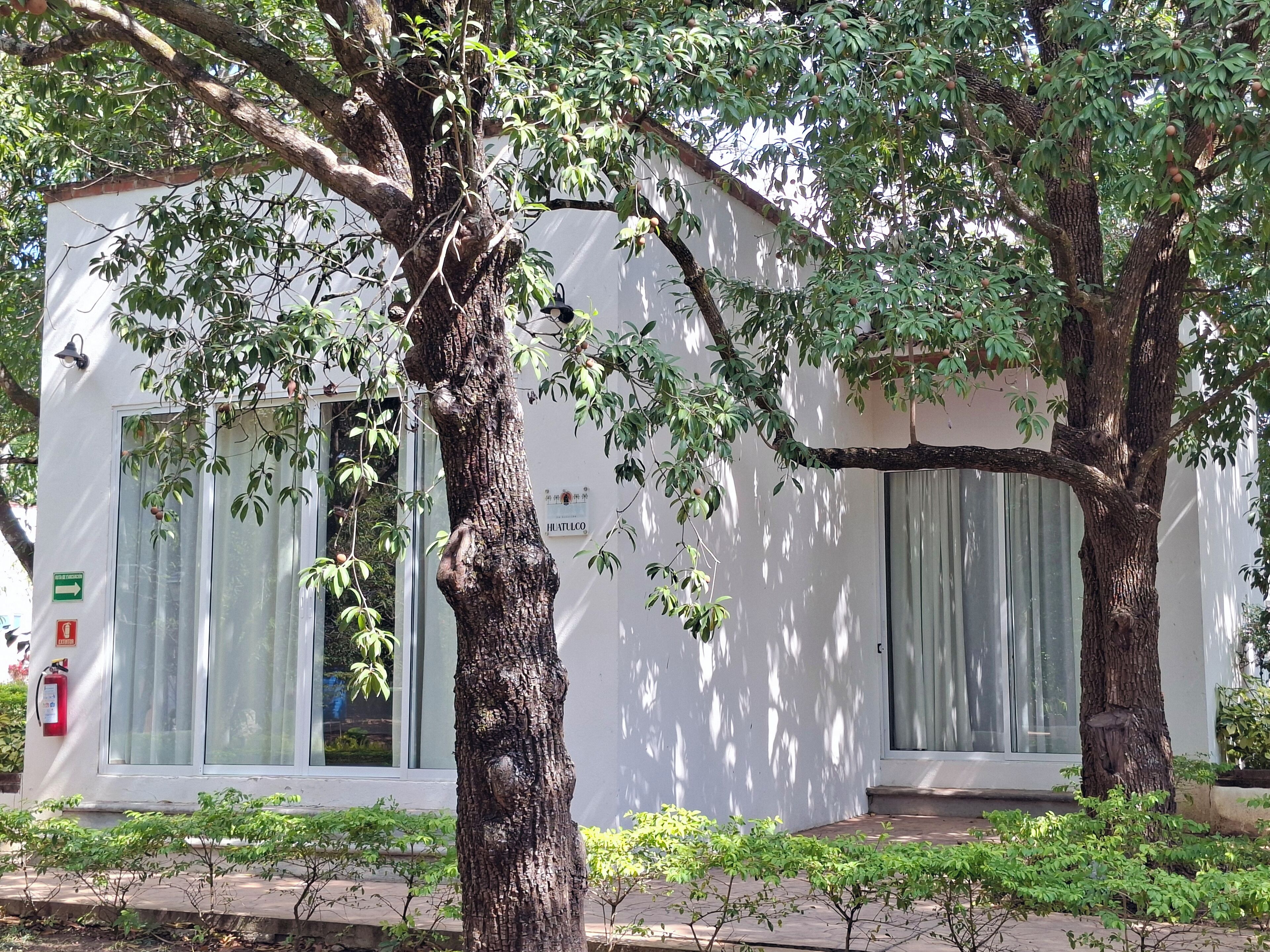 Habitación cuádruple Confort, patio | Detalle del exterior