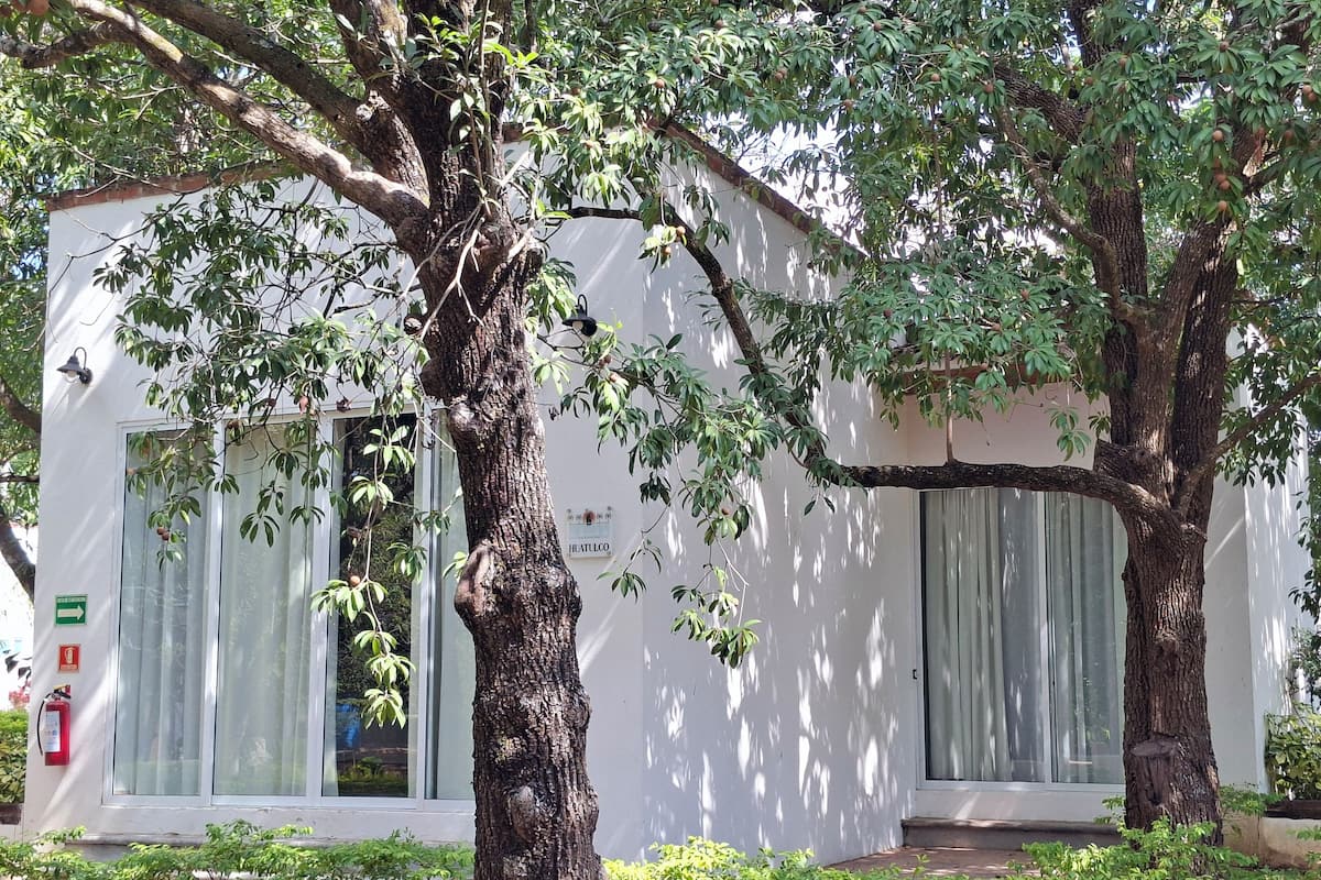 Habitación cuádruple Confort, patio | Detalle del exterior