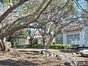 Imagen sin descripción, 3 de 38, botón