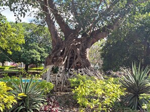 Unclassified image, 4 of 38, button - HOTEL BOUTIQUE LA ESTACION (El Barrio de la Soledad)