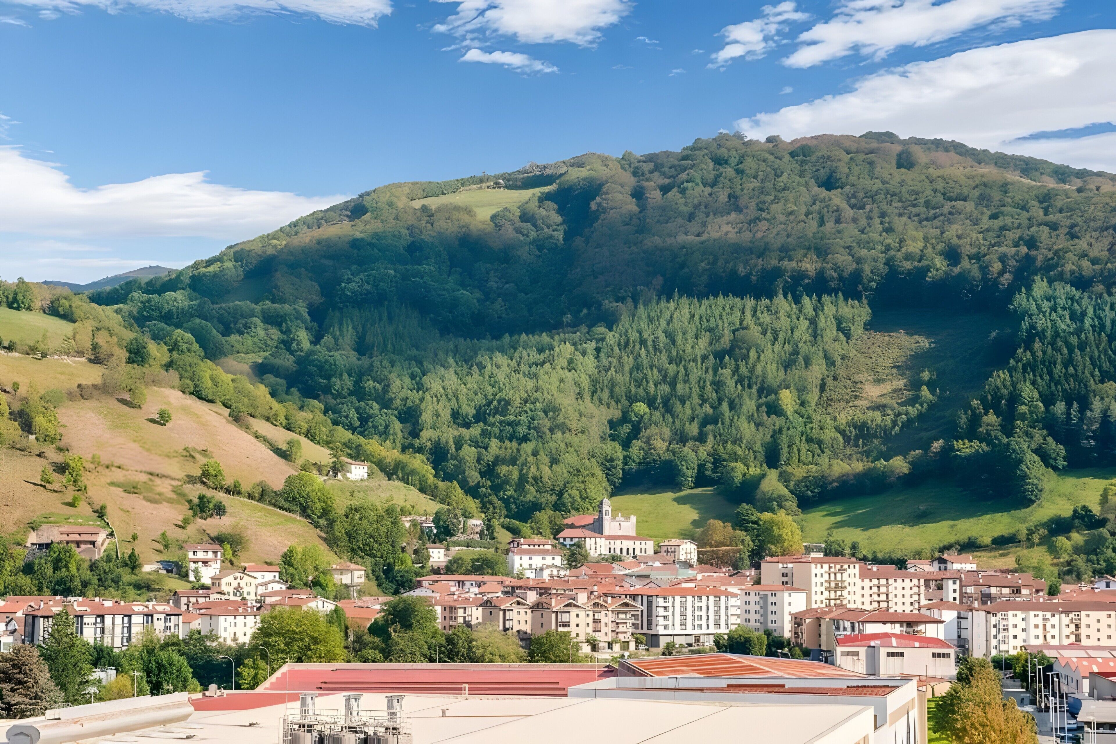 A town with buildings, a hill, and a forest.