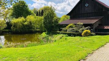 Terrain de l’hébergement