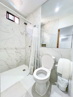 Buồng tắm vòi sen, máy sấy tóc, khăn tắm, xà phòng 