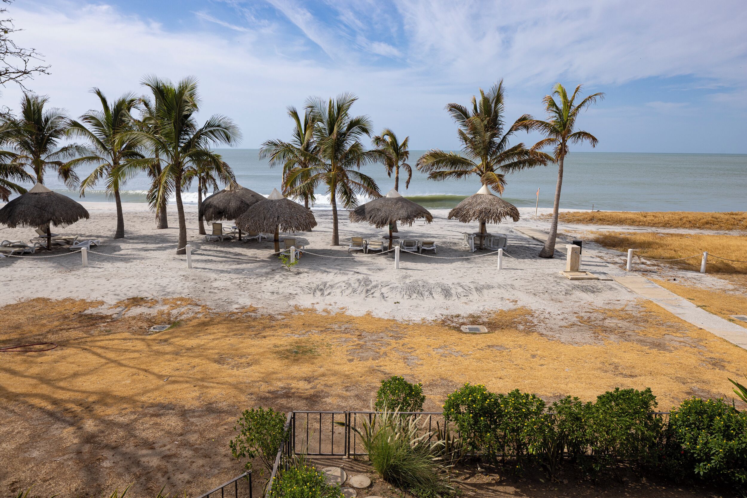 Une plage avec des parasols en chaume, des palmiers et une promenade bordée de sable.