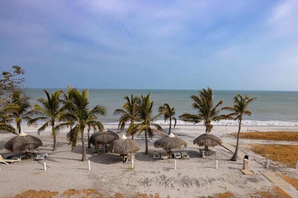 Apartment, Balcony, Sea View | Beach | Private beach, white sand, 2 beach bars