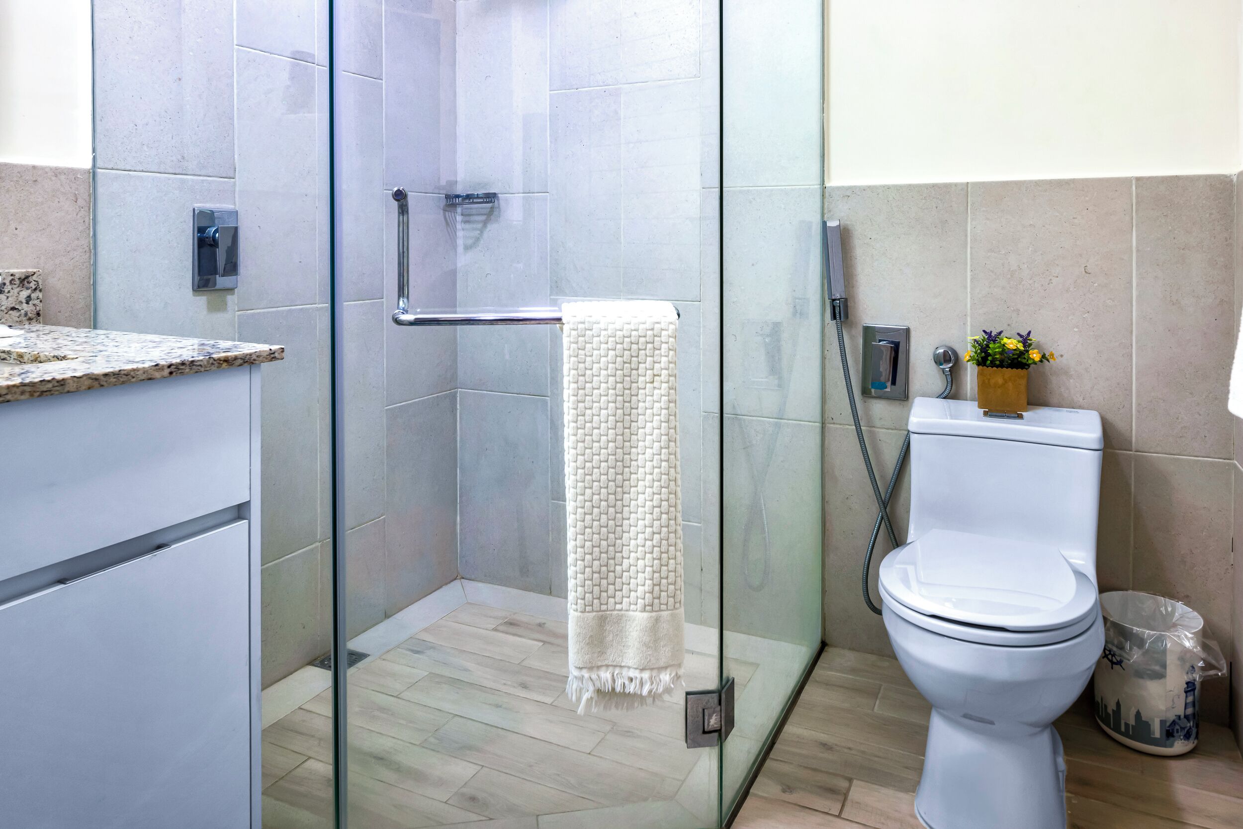 A modern bathroom with a glass shower enclosure, a white toilet, and a small potted plant.