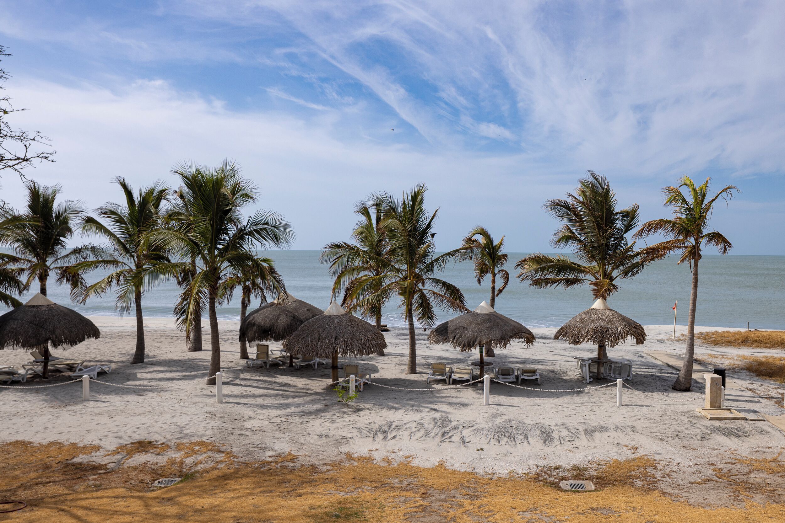 A beach with thatched umbrellas, palm trees, and lounge chairs.