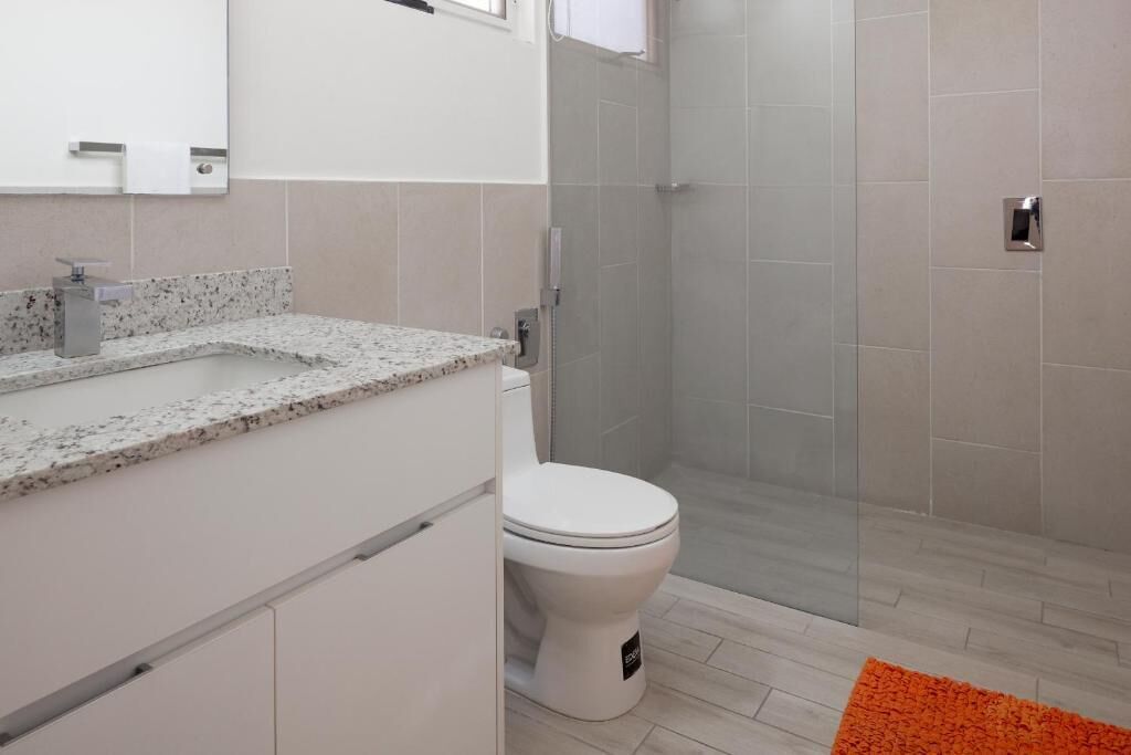 A bathroom with a white toilet, a shower enclosure, and a granite countertop.