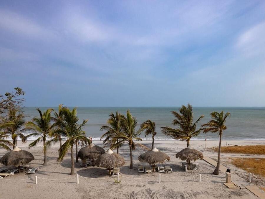 A beach with palm trees, thatched umbrellas, and lounge chairs.