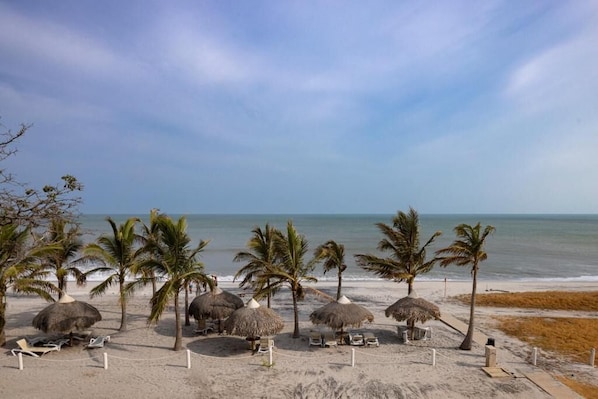 Leilighet, balkong, sjøutsikt | Strand | Privat strand, hvit sand og 2 strandbarer