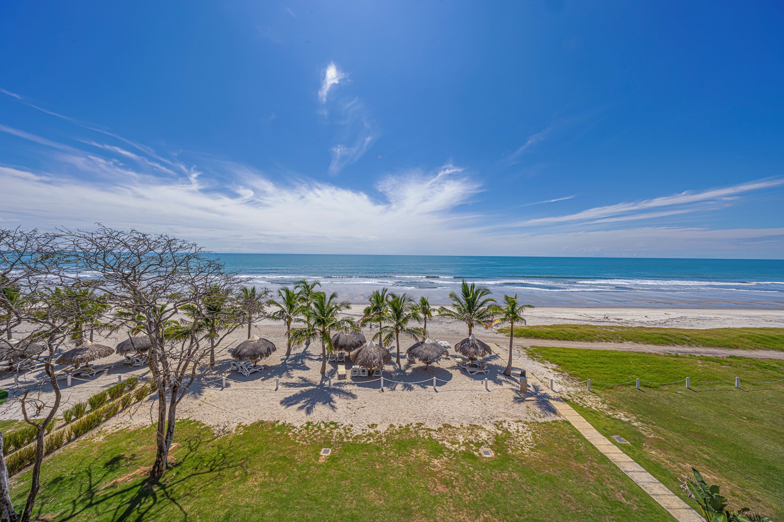 Una playa con palmeras, sillas de descanso y sombrillas de paja.