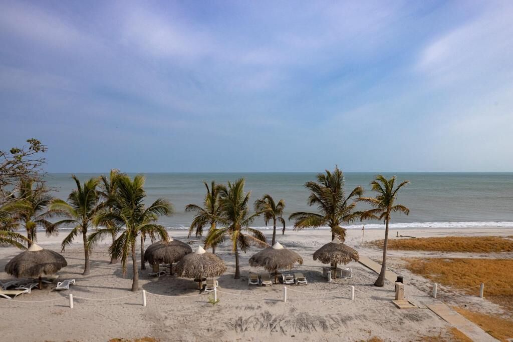 A beach with thatched umbrellas and lounge chairs, palm trees, and a view of the ocean.