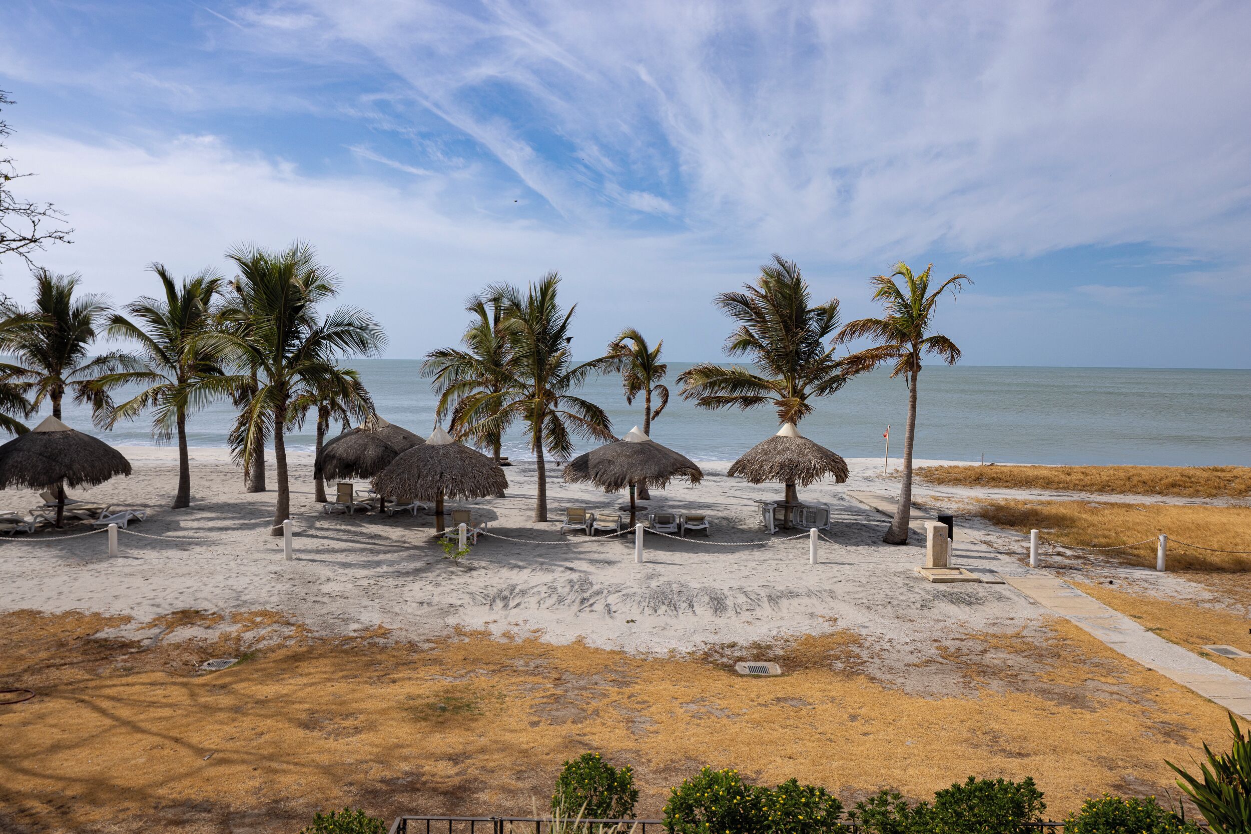 Une plage avec des parasols en chaume et des palmiers, une zone sablonne avec des chaises longues, et une vue sur l’océan.